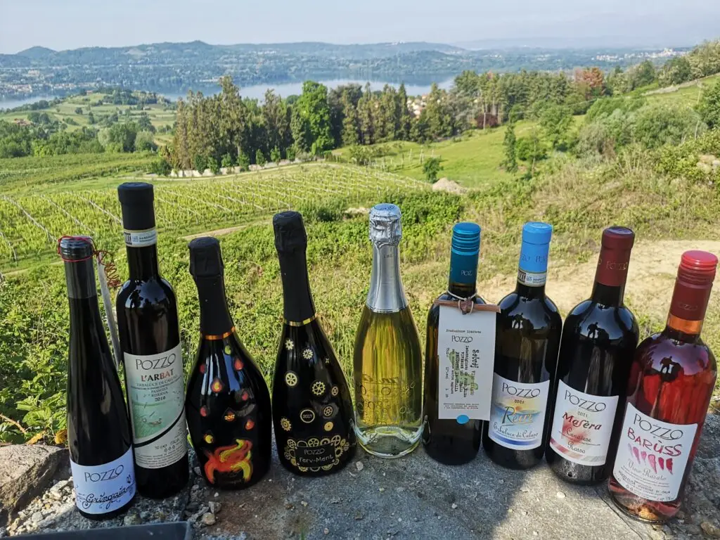 Una serie di bottiglie di vino è allineata su una sporgenza di pietra che si affaccia su un rigoglioso vigneto e sulle dolci colline sotto un cielo azzurro. Il paesaggio si estende a perdita d'occhio.