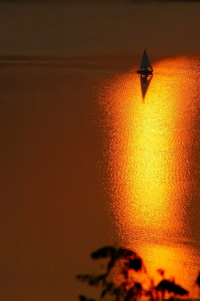 Nicola_Costantini_DSC_1268
