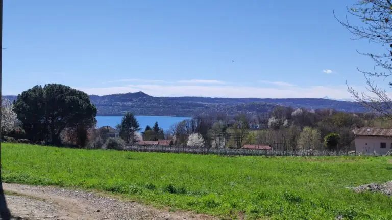 Un prato di un verde intenso digrada verso un lago blu, con colline ricoperte di alberi sullo sfondo, sotto un cielo azzurro e limpido.