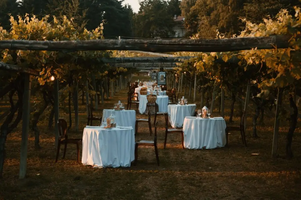 In un vigneto, al tramonto, sono stati apparecchiati dei tavoli da pranzo all'aperto con tovaglie bianche per una cena tra i filari, creando un'atmosfera romantica ed elegante grazie a un'illuminazione soffusa.