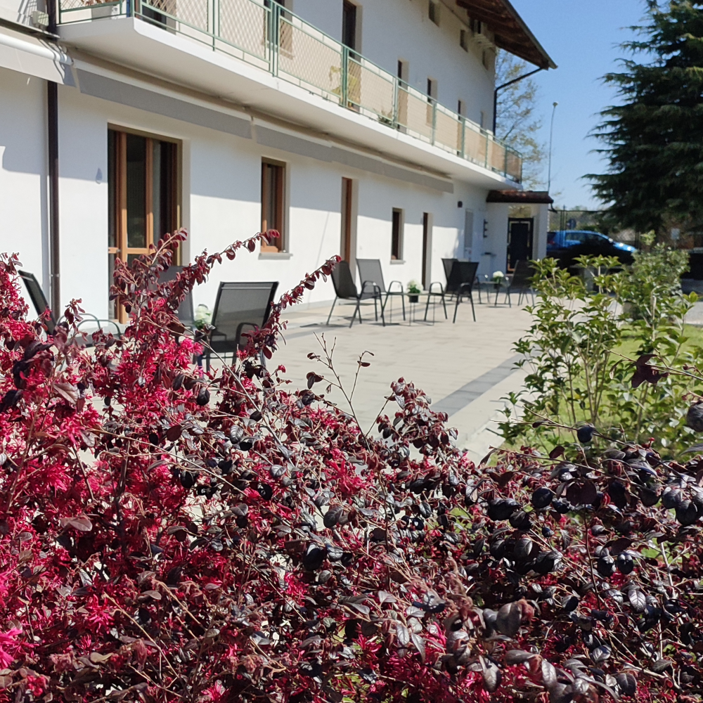 CASA ENA B&B_galleria11